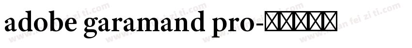 adobe garamand pro字体转换
